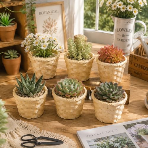 20pcs Small Baskets, Mini Woven Bamboo Basket, Desktop Small Flower Pot Wicker Basket Pencil Holder for Home Office Table Storage Party Favors Crafts Decor, 3.54 x 2.95 inch