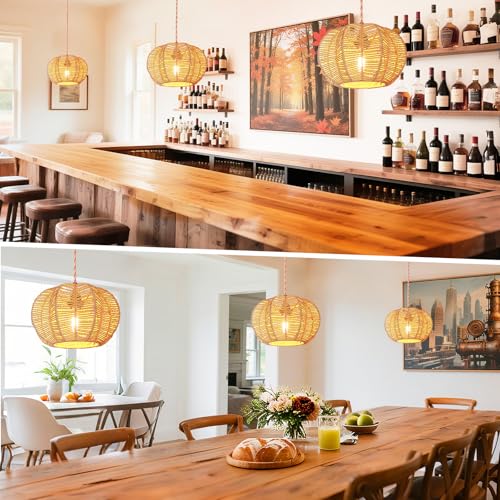 Hanging Light Fixture with Plug in Cord with on Off Switch, Rattan Pendant Lights Boho Lamp Ceiling Light, Plug in Pendant Light Hanging Lamp Shades for Living Room Decor Bedroom Kitchen - size: 11.8 Inch-Ball Cactus Shade