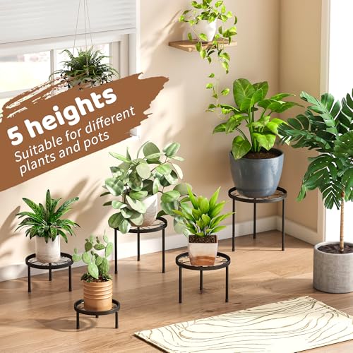 Plant Stand Indoor Outdoor 5 Pack Heavy Duty Metal Stand Multiple Plants, Anti-Rust Iron Flower Pot Stand Decoration Racks Plant Pot Shelf for Living Room Garden Balcony (Black) - color: Black