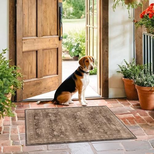 Boho Taupe Brown 2x3 Entryway Rug - Modern Vintage Traditional Eclectic Oriental Neutral, Washable Low Pile Non-Slip Small Throw Area Rugs for Door Mat Indoor Entrance, Kitchen, Bathroom - color: Brown, size: 2' x 3' (Rectangular)