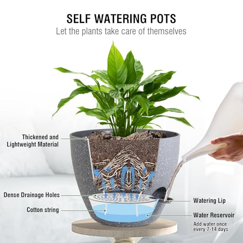 Meowell Self Watering Hanging Planters 10 inch, 2 Pack Hanging Flower Pots for Indoor Outdoor Plants, Hanging Baskets with Drainage Holes & 2 Kinds of Plant Hangers for Garden Decor, Speckled Grey - color: Grey With White Speckles