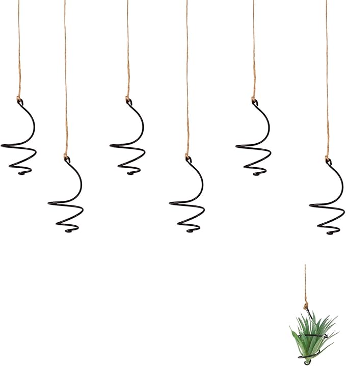6 Pack Hanging Air Plant Holders - Adjustable Rust-Resistant Iron Rings with Low-Tangle Jute Ropes for Tillandsia, Succulents, Home & Office Decor