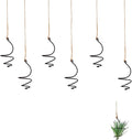 6 Pack Hanging Air Plant Holders - Adjustable Rust-Resistant Iron Rings with Low-Tangle Jute Ropes for Tillandsia, Succulents, Home & Office Decor
