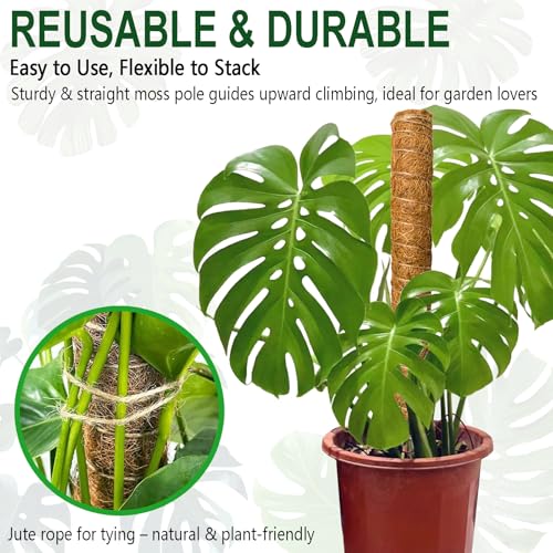 Soupiar 2 Pack 22 Inch Stackable Moss Pole - Thick & Sturdy Natural Coir Totem Plant Support & Garden Stakes for Monstera & Pothos, Indoor Climbing Vining Houseplants, 38" H Max - color: 2*22 inch