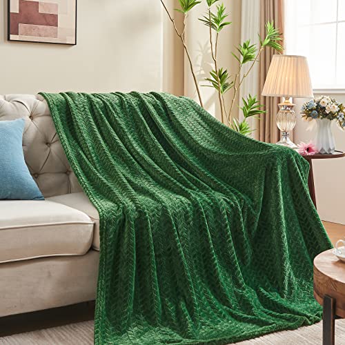 inhand Fleece Queen Blanket for Bed, Super Soft Flannel Cozy Queen Bed Blanket for Adults, Washable Lightweight Fuzzy Bed Blanket for Office, Warm Plush Blankets for All Season (90"×90", Green) - color: A-green, size: Full/Queen-90x90 IN