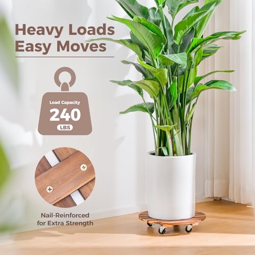 Bamworld Plant Stand Outdoor Rolling Tray Plant Caddy with Wheels 12in Plant Caster with Wheels Planter Caddy Flower Cart Plant Dolly for Heavy Duty Large Plants Plant Rollers (2 Pack ) - size: 12inch-2 pack