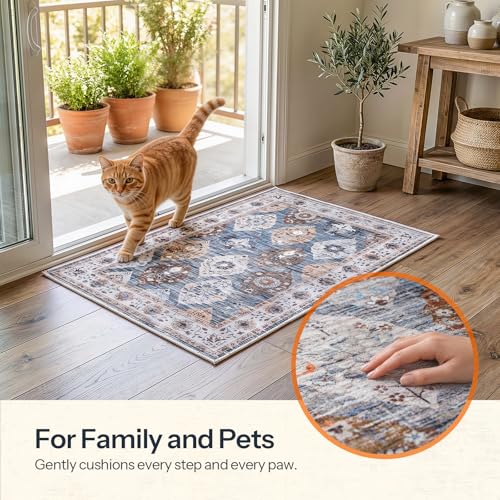 HOOBRO 2 x 3 Area Rugs Washable, Small Rugs for Entryway Kitchen Bathroom Mat Indoor Low Pile Soft Rug, Non-Slip Backing Stain Resistant Carpets, Pet Friendly Machine Washable, Light Blue BU01AR01 - color: Light Blue, size: 2' x 3' (Rectangular)