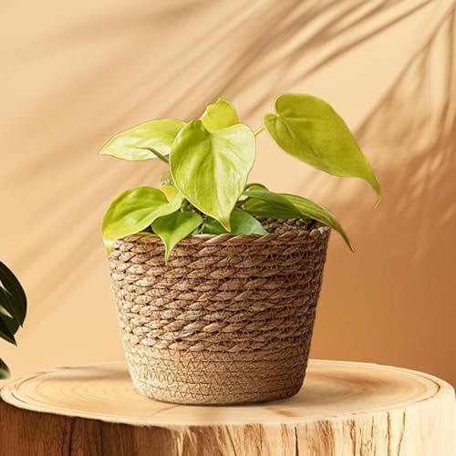 MagiDeal Woven Planter Basket,Storage Bins Ornament Flower Vase Flower Pot Planter Containers for Kitchen Home Outdoor,Office Picnic, M - size: Medium