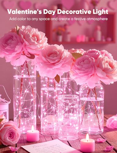 Brightown Valentine's Day 12 Pack Pink Led Fairy Lights Battery Operated String Lights Waterproof Silver Wire 7 Feet 20 Led Firefly Starry Moon Lights for DIY Wedding Party Bedroom - color: Pink, size: 12 Pack