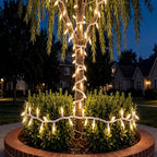 100 LED Warm White Christmas String Lights, 35 FT White Wire, UL Certified Commercial Grade, Indoor and Outdoor Use - color: White