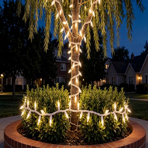 100 LED Warm White Christmas String Lights, 35 FT White Wire, UL Certified Commercial Grade, Indoor and Outdoor Use - color: White