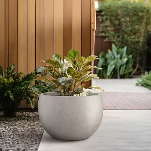 Kante 10 in x 15-16 in Low Concrete Planter, Wide Bowl Plant Pot with Drainage Hole & Rubber Plug – Breathable Handmade Cement Container for Succulents, Tabletop, Patio, Weathered Concrete - color: Weathered Concrete, size: 15.7" d