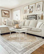 Hauteloom Ferdinand Living Room, Bedroom Machine Washable Area Rug - Farmhouse - Light Brown, Dark Brown, Light Blue - 3'11" x 5'11" - size: 3'11" x 5'11" (Rectangular)