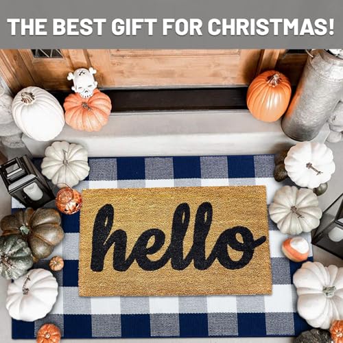 IOHOUZE Buffalo Plaid Checkered Rug 27.5" X 43" Front Door Mats, Washable Area Rugs for Front Porch Decor, Spring Summer Welcome Mats Outdoor, Navy White Rug for Farmhouse/Entryway/Home Entrance - color: Navy and White, size: 2'4" x 3'8" (Rectangular)