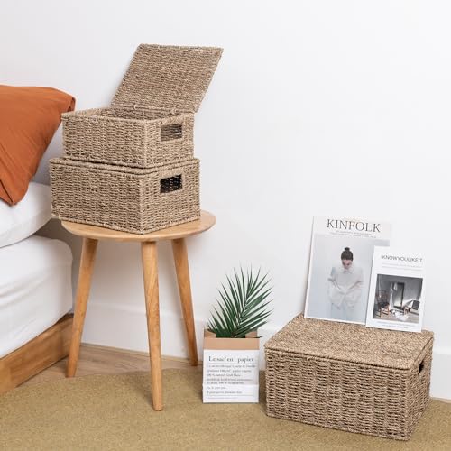 Wicker Storage Baskets with Lid, Hand-Woven Rectangular Wicker Basket with Lid for Bedroom & Living Room, Nesting Rattan Basket with Lid for Shelves (Seagrass, Set of 3）