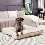 South Pine Porch Mila Square Tufted Pillow Style Dog Bed, Cream, Large (40" x 40") - color: Cream, size: Large (40" x 40")