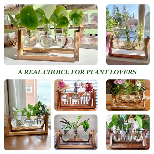 Renmxj Plant Propagation Stations with Wooden Stand & 3 Glass Bulb Vases - Plant Terrarium for Indoor Plants, Home Office Desk Decor, Gardening Gifts for Women Mom, Birthday Gifts for Plants Lovers - size: 3 Bulb Vase
