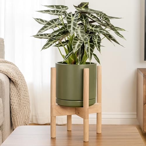 D'vine Dev Ceramic Planter with Natural Stand - 8 Inch Modern Round Flower Pot with Wood Planter Holder, Olive, 55-B-N-J - color: Olive Pot + Natural Stand, size: 8 Inch