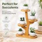 5 Tiered Desk Plant Stand Bamboo Tree Plant Shelf Tabletop Succulent Herb Stand Desktop Plant Stand Indoor Plant Rack for in Living Room Office Decoration (5 Tiered) - size: 5 Tiered