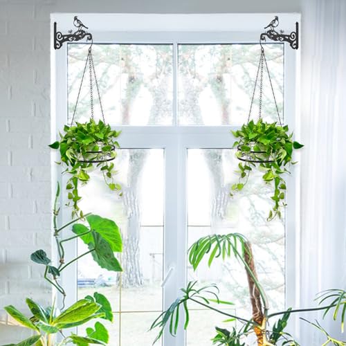 2-Pack 10 Inch Aesthetic Plant Hangers Outdoor – Metal Hanging Plant Bracket with Beautiful Hummingbird Pattern – Heavy Duty Plant Hooks for Hanging Plants, Bird Feeder, Wind Chime, Lantern - color: 2-Pack