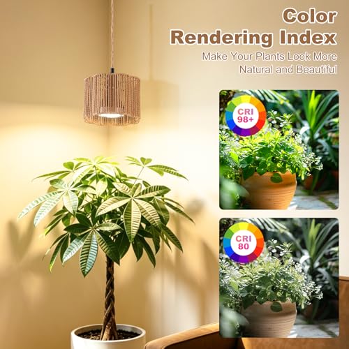 Hanging Grow Light, 30W LED Lamp with Timer for Indoor Plants | 4000K LED plant lamp with 15 ft cord, outlet timer, and boho paper rope shade for succulents, herbs, and low-light rooms. - color: Scallop
