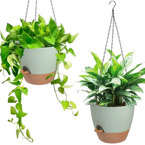 Vanslogreen Hanging Planters for Indoor Outdoor Plants, 2 Pack Self Watering Hanging Pot with Drainage Holes & Removable Tray (Green, 6'') - color: Green, size: 6''