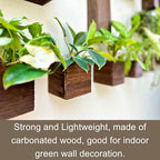 LaLaGreen Indoor Planter Box for Plants (4x4 Inch, 12 Pack) Small Square Wooden Wall Mounted Planters Wood Window Boxes Hanging Flower Pot Plant Holder Outdoor Herb Modern Vertical Garden Home Decor - size: 4x4" x 12 pack