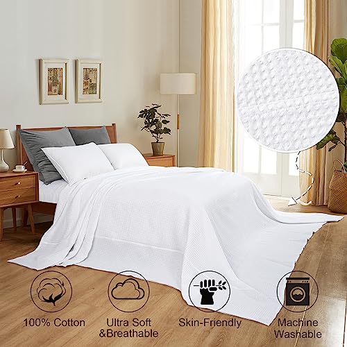 PHF Pre-Washed Cotton Waffle Weave Family Blanket,Oversized King Size 120"x 120"-Snag Proof Lightweight Breathable, 10'x 10' Huge Extra Large Big-Elegant Aesthetic Home Decoration Gift-White - color: White, size: Oversized King(120" x 120")