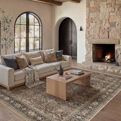 HUGEAR Brown Washable 6x9 Area Rugs for Living Room Bedroom Vintage Distressed Neutral Rug Carpet Durable Soft Non Slip & Shedding Stain Resistant Low Pile Indoor Home Decor - color: Retro | Brown, size: 6' x 9' (Rectangular)