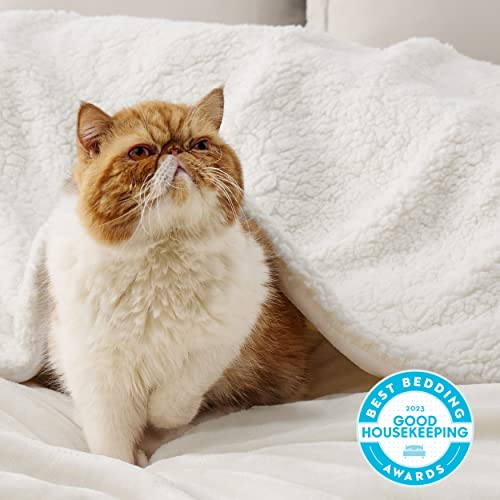 Bedsure GentleSoft Sherpa Fleece Throw Blanket for Couch, Non-Heated, Thick and Warm Throw for Women and Men, Soft Fuzzy Plush Blanket for Spring, Cream, 50x60 Inches - color: 06 - Cream, size: Throw (50" X 60")