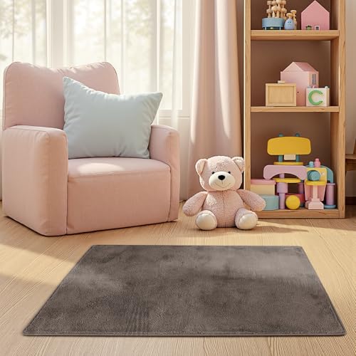 jinchan Solid Plush Area Rug 2x3 Performance Shaggy Washable Rug Indoor Entryway Doormat Soft Modern Faux Wool Cozy Non Slip Carpet for Living Room Kid Room Bedroom Nursery Brown - color: Solid Brown, size: 2' x 3' (Rectangular)