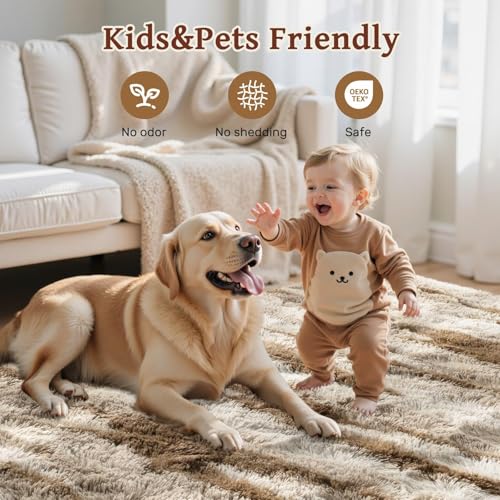 9x12 Ft Large Shag Plush Rugs for Living Room,Ultra Soft Fluffy Furry Area Rugs Non-Slip Carpet for Bedroom,Nursery,Kids Room,Dorm,Aesthetic Home Decor (Khaki) - color: B-khaki 24sm02, size: 9' X 12' (Rectangular)