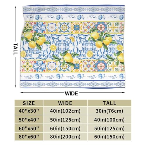 Summer Lemon Throw Blanket for Couch Chair Sofa Bed, Flannel Soft Watercolor Mediterranean Ceramic Tiles Floral Blanket for Bedroom Living Room Car, Warm Cozy Blankets for All Season 30"x 40" - color: Lemon01, size: 30X40 inch