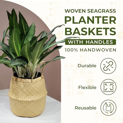Seagrass Plant Basket Set of 3 with Handles – Handwoven Woven Basket Planter, Indoor Plant Basket & Plant Holder Basket, Natural Fiber Wicker Plant Pot Basket for Boho Farmhouse Home Decor - size: Set of 3 (with handles), style: With handles