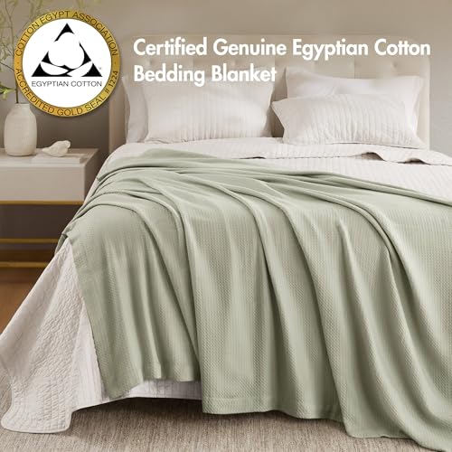 Madison Park 100% Egyptian Cotton Lightweight Summer Blanket, Breathable Waffle Knit Design, Soft Cozy All-Season Throw for Bed, Couch or Sofa, Sage Green Full/Queen Size (90"x90") - color: Sage Green, size: Full/Queen