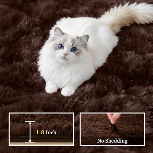6x9 Area Rugs for Living Room Bedroom: Ultra Soft Fluffy Shag Rug Upgrade Non-Slip Non-Shedding Large Fuzzy Plush Carpet Indoor Floor Carpets for Kids Room Playroom Nursery Dorms Home Decor Brown - color: Brown, size: 6' x 9' (Rectangular)