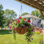 HOSY 2-Pack 12-in Hanging Metal Planter Baskets with Coconut Fibre Liner | Round Wire Planter, Black, Openwork Petal-Shaped Design, 12-in Diameter, Includes Chain & Hook, Tool-Free Hanging Setup - color: Petals - Black