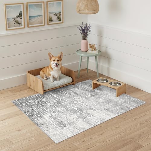 Abstract 2x3 Entryway Area Rugs: Washable Water Resistant Kitchen Rug Non-Slip Durable Doormat Ultra Soft Bedroom Beside Carpet Indoor Low Pile Floor Mat for Bathroom Stove Sink Area(2x3,Light/Grey) - color: Light/Grey, size: 2' x 3' (Rectangular)
