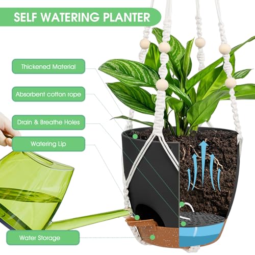 Vanslogreen Hanging Planters for Indoor Outdoor Plants, 2 Pack Self Watering Hanging Pots, Hanging Plant Baskets with Drainage Holes & 2 Types of Plant Hangers (Black, 6'') - color: Black+black, size: 6''