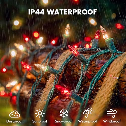 YOUNGAR Clear Christmas Lights Outdoor, 13FT Red&Clear Approved Christmas Tree Lights with Green Wire, Incandescent Mini Light Plug in Indoor Outdoor Tree Patio Garden Xmas Decor,Red Clear,50 Count - color: Red/White, Green Wire, size: 50 Count 1Pack