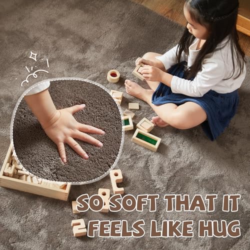 jinchan Solid Plush Area Rug 2x3 Performance Shaggy Washable Rug Indoor Entryway Doormat Soft Modern Faux Wool Cozy Non Slip Carpet for Living Room Kid Room Bedroom Nursery Brown - color: Solid Brown, size: 2' x 3' (Rectangular)