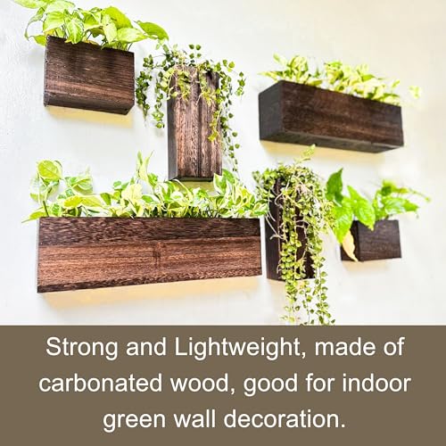 LaLaGreen Wood Planter Box for Plants (6 Pack) Wooden Hanging Wall Planters for Indoor Plant Holder Vase for Dried Flowers, Modern Farmhouse Wall Decor Living Room Bedroom Kitchen Office Home Garden - size: 6-pc Set A