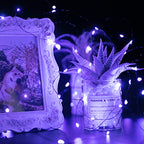 Halloween Purple Fairy String Lights: 12 Pack 7 Ft 20 LED Battery Operated Firefly Lights on Black Wire Starry Moon Lights for DIY Party Bedroom Patio - color: Purple, size: 12 Pack