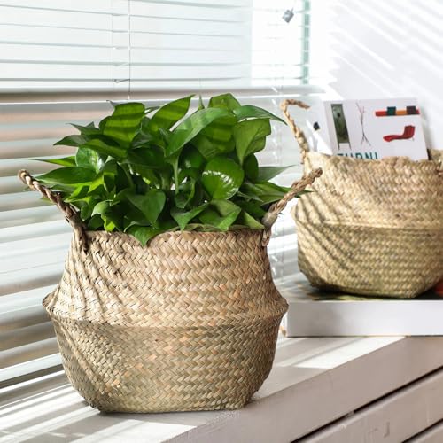Qunclay 4 Pcs Woven Seagrass Baskets Belly Basket Folding Boho Natural Plant Pot with Handles Round Decorative Wicker Large Indoor Planter for Home Outdoor Tree Planters Decor (M,8.46''dx8.66''h) - size: M,8.46''Dx8.66''H