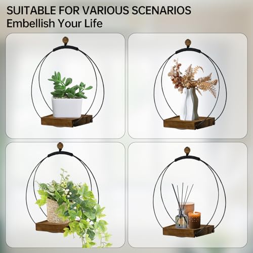 Adnkwolivt Hanging Planters for Indoor Plants - Plant Hanger Outdoor Pack of 2, Metal Plant Hanger Mid Century, Hanging Wall Ceiling Window, Gift for Mom, Plant Lovers, Housewarming - color: Black Metal/Walnut Wood Base, size: 2 Pack