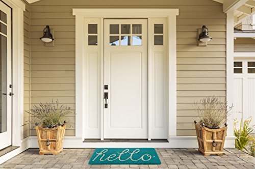 DII Hello Coir Fiber Doormat Non-Slip Durable Outdoor/Indoor, Pet Friendly, 18x30, Aqua - color: Aqua