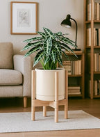 D'vine Dev Ceramic Planter with Natural Stand - 8 Inch Modern Round Flower Pot with Wood Planter Holder, Oatmeal, 55-B-N-8 - color: Oatmeal Pot + Natural Stand, size: 8 Inch