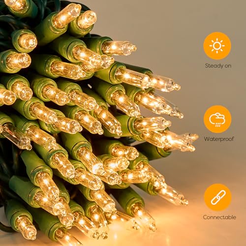 Christmas Lights,100 Count Lights with Green Wire,21ft UL Certified Tree String Lights for Indoor Outdoor Christmas Decoration,Home Garden,Party Decorations Warm White Green Wire - color: Warm White Green Wire