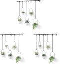 Umbra Triflora Hanging Planter, Set of 5, White (Pack of 3)