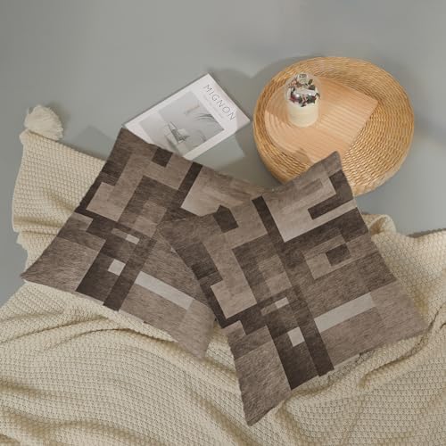 BETGINY Brown Beige White Pillow Covers 20x20, Abstract Art Outdoor Decorative Throw Pillows for Couch, Modern Geometry Decor Cushion Cover 2 Pcs Soft Farmhouse Square Pillowcase for Bed Car Safa - color: Brown Beige, size: 20" x 20" (Pack of 2)